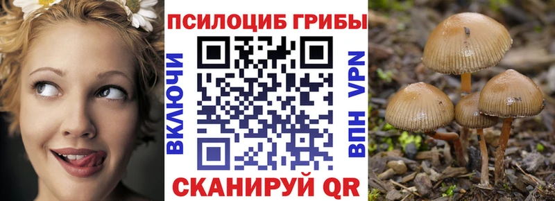 Галлюциногенные грибы прущие грибы  Усть-Джегута 